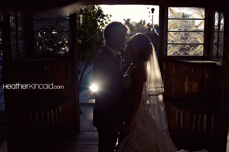 Ashley and Alex's Wedding